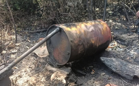 Delta: Navy deactivates eight illegal refineries in crude oil crackdown