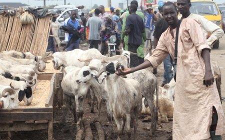 S’Arabia declares June 6 as Sallah day