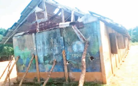 Residents crowdfund to rehabilitate dilapidated Ogun school