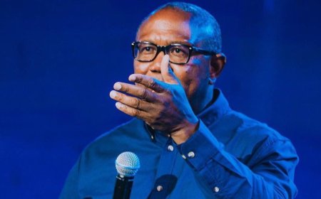 Obi decries Taraba, Benue, Kogi killings