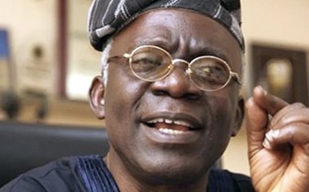 Withdraw criminal label charge against Natasha — Falana tells FG