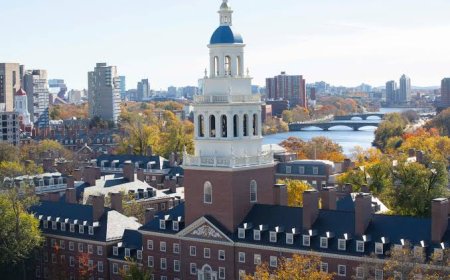 Harvard holds graduation amid legal battle with Trump administration