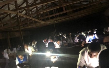 NANS slams WAEC over delayed English exam