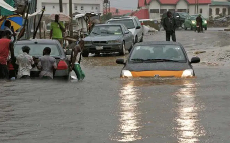 21 corpses recovered as midnight flood sweeps 50 homes in Niger