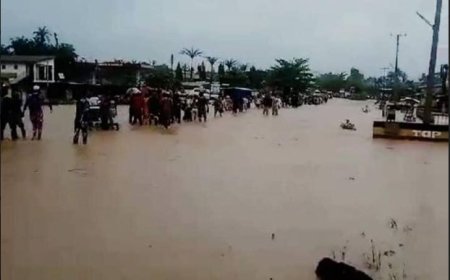 Niger flood of fury: Over 100 dead, 75 buried, 100 missing