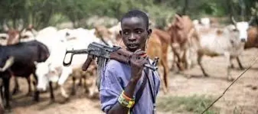Ondo court sentences herdsman to 10 years imprisonment for destroying N50m farmland