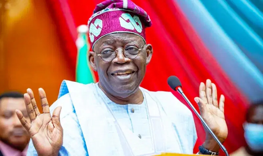 Tinubu not running Yoruba govt, Afenifere declares