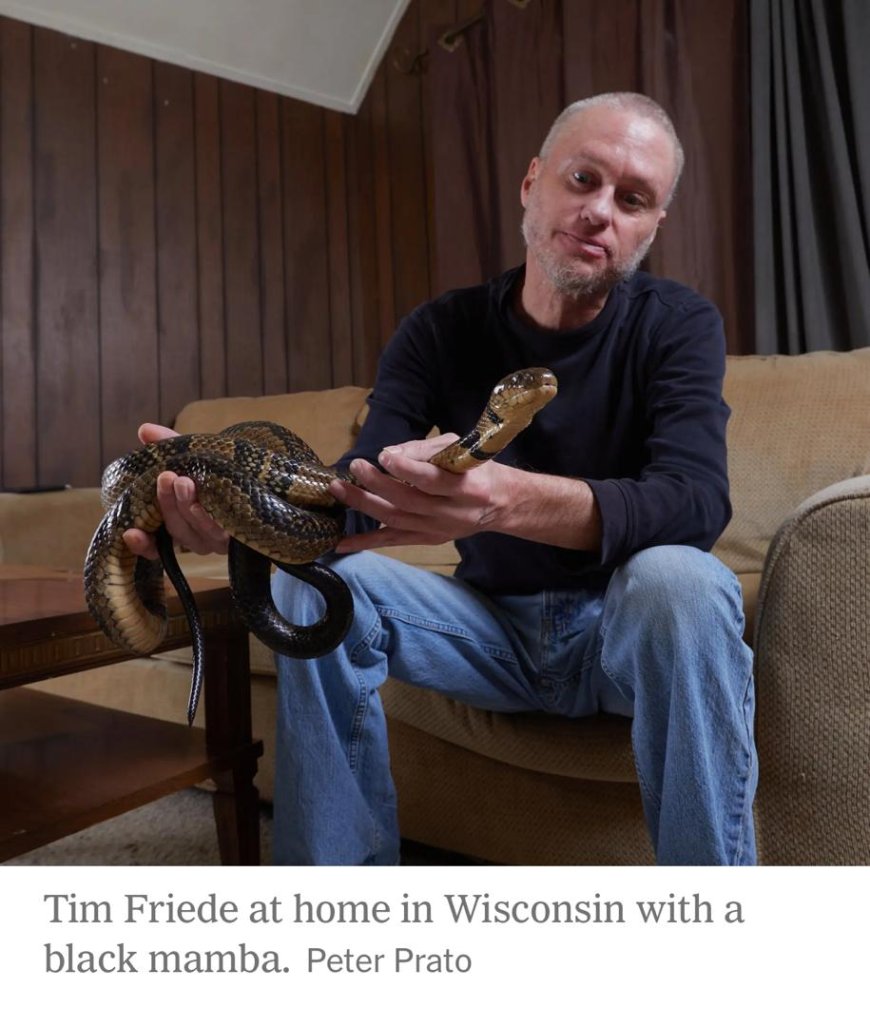 Man who let snakes bite him hundreds of times may hold answer to death from snake bite