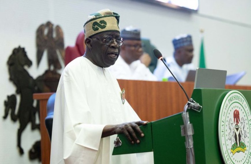 Tinubu vows to reclaim ungoverned areas, secure forests