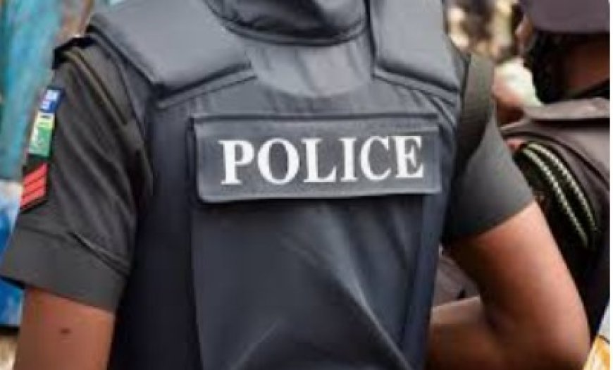 Three policemen detained as Bauchi suspect dies in custody