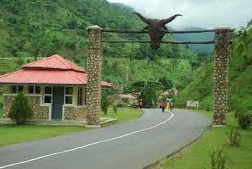 4 seminarians die in auto-crash at Obudu Ranch bottom hill