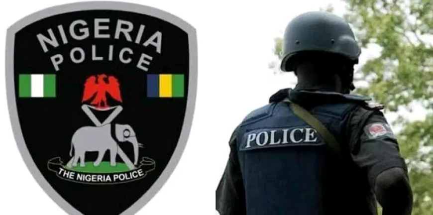 Police order investigation into death of five children in Nasarawa