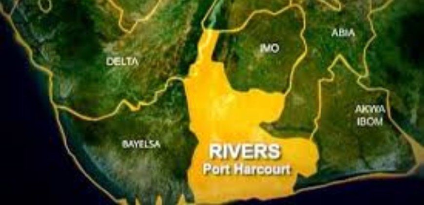 Farms destroyed as oil spill ravages Rivers community
