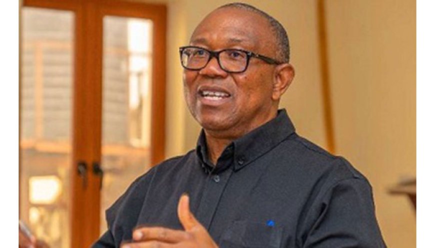 Peter Obi: Poor JAMB results reflect decades of neglect in education sector