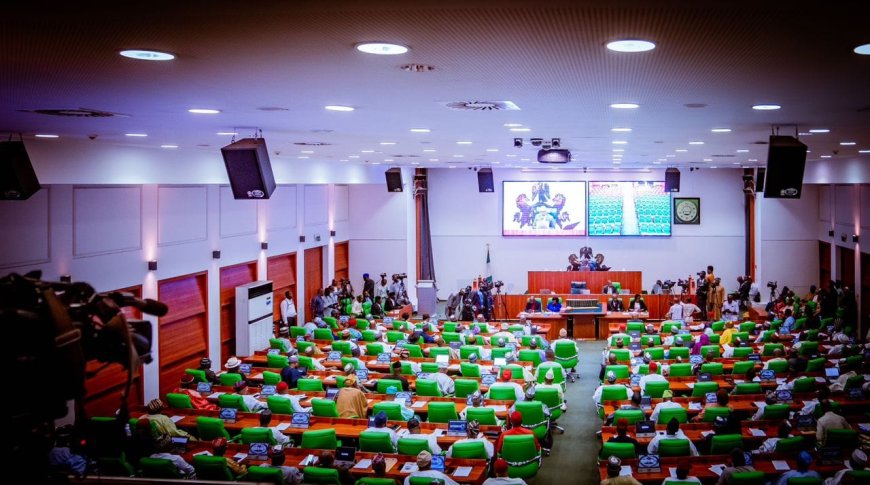 Benue, Zamfara assemblies reject Reps’ summons