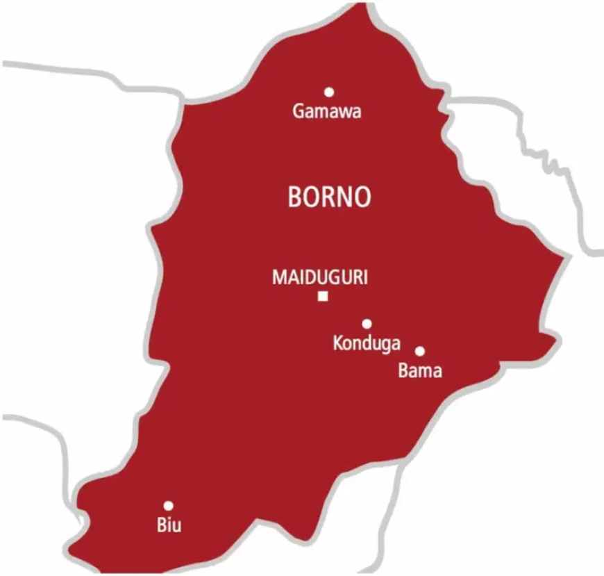 Emir confirms killing of captain, soldier, 3 terrorists in Borno community