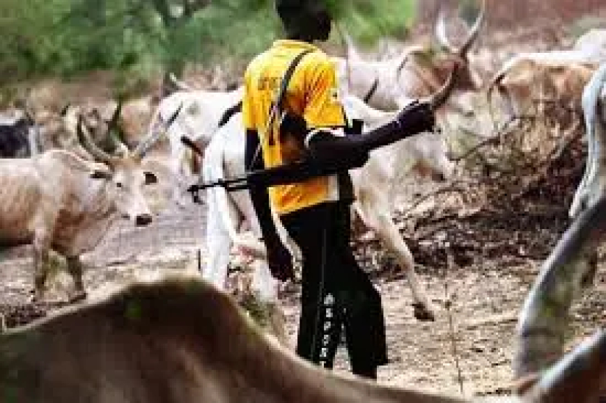Herders resume attacks on Abavo, kidnap woman, injure 3 vigilante members