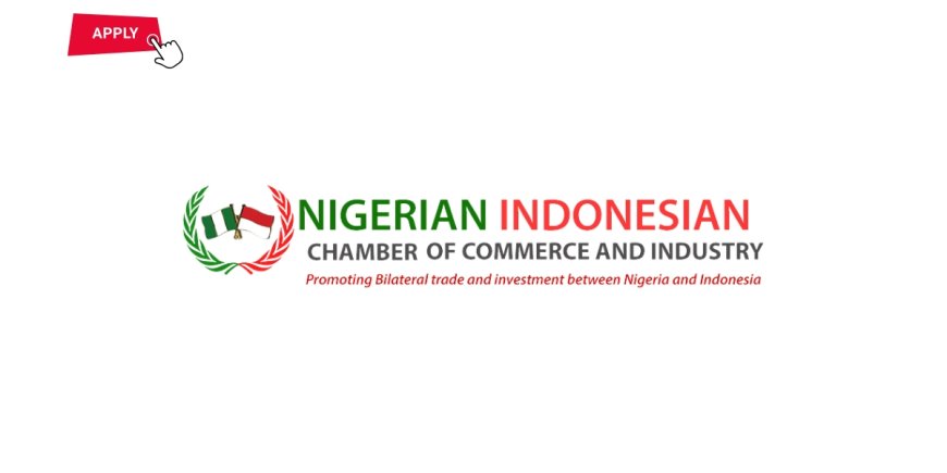 2025 Graduate Internship at the Nigerian Indonesian Chamber of Commerce and Industry