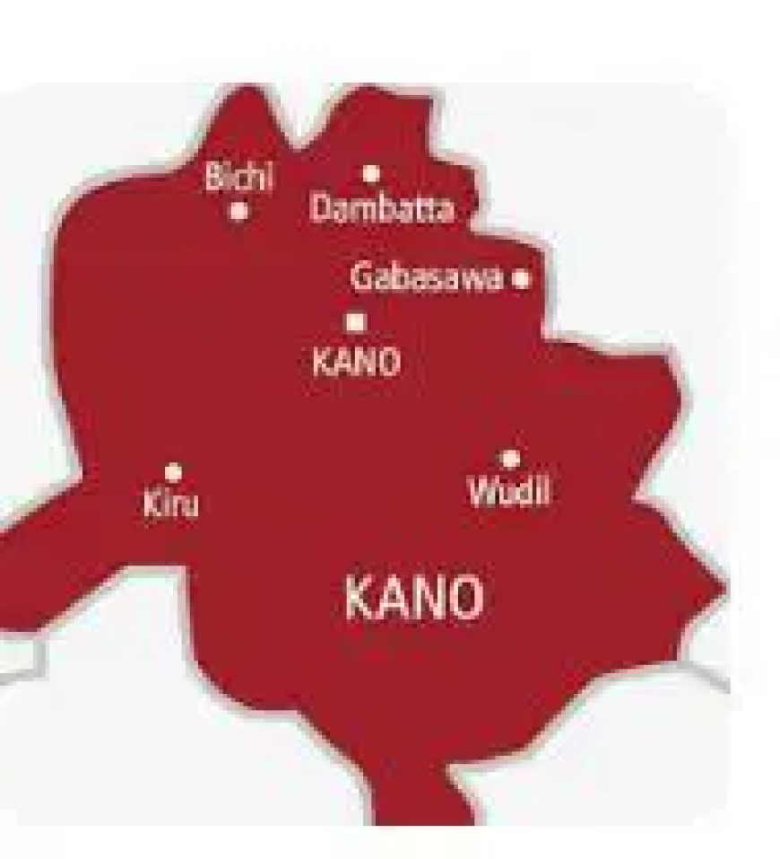 Stop recruiting thugs, Kano politicians told