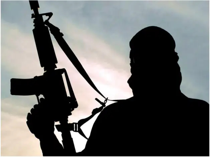 Soldiers flee after Boko Haram raid on Borno base