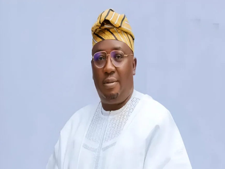 Nigeria needs $10bn annually for stable electricity — Minister