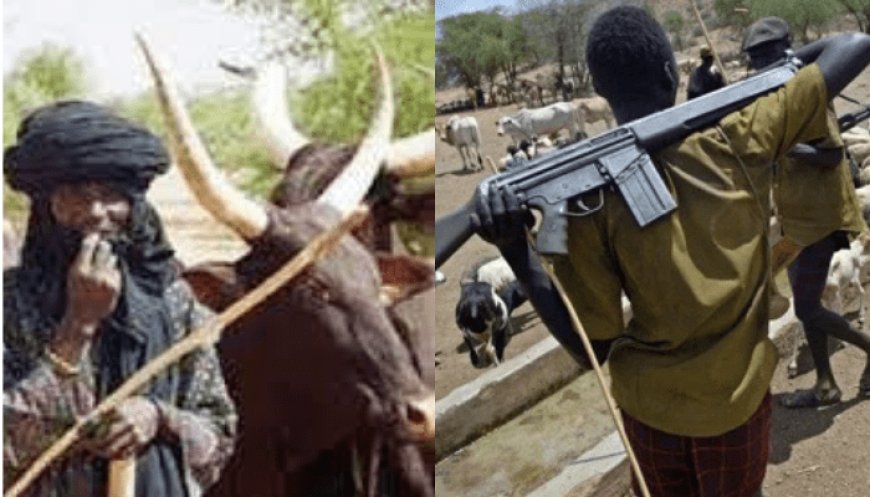 Herdsmen sack 4 Benue LGAs, kill 23