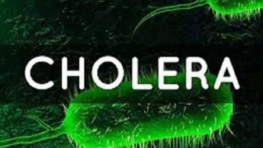 Cholera outbreak: Plateau records 3 deaths, 5 confirmed cases