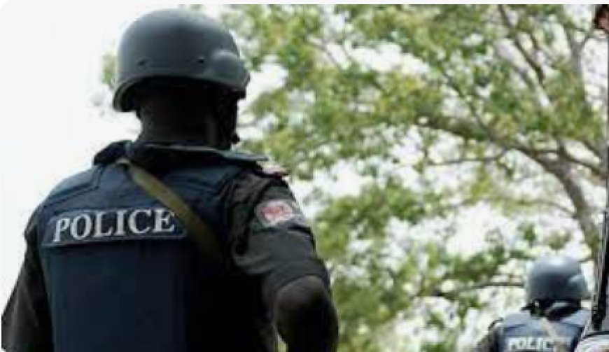 Police arrest three fake EFCC operatives, others in Niger