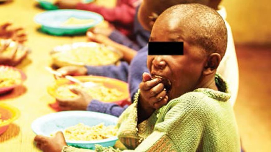 Borno Assembly to criminalise diversion of malnourished children’s food