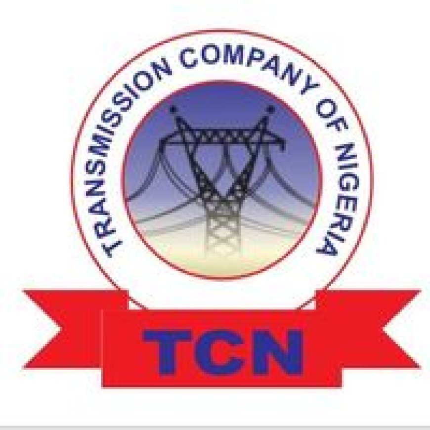TCN begins reconstruction of collapsed towers on Kainji-Birnin Kebbi line