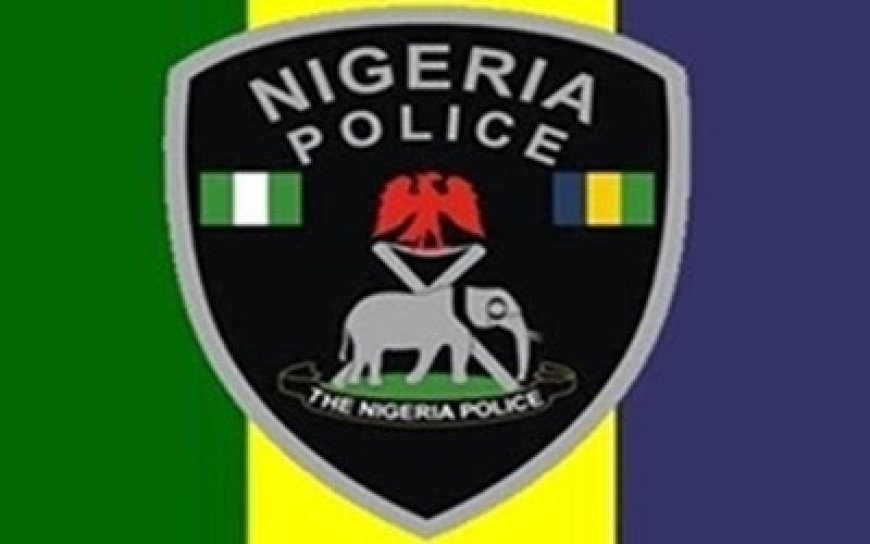 Police begin probe as stray bullet kills varsity student in Benue