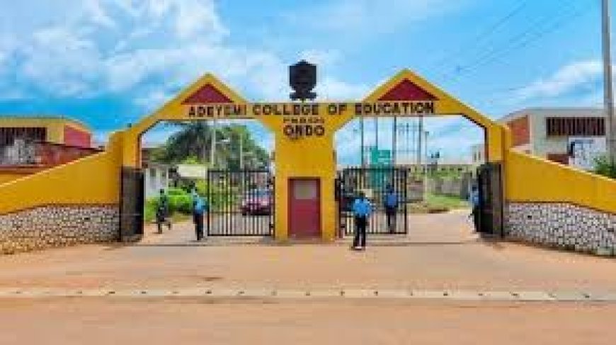 VC urges NELFund to release loans for Ondo federal varsity students