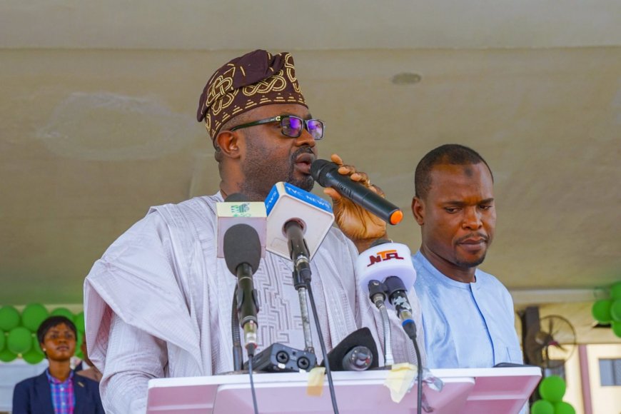 Criminals on INTERPOL red list arrested in Nigeria – Minister