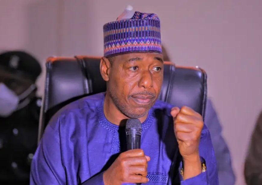 Boko Haram has informants among politicians, soldiers – Borno gov Zulum