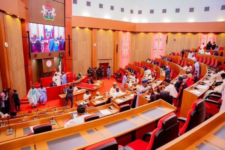 Boko Haram: Senate seeks establishment of military base in Adamawa community