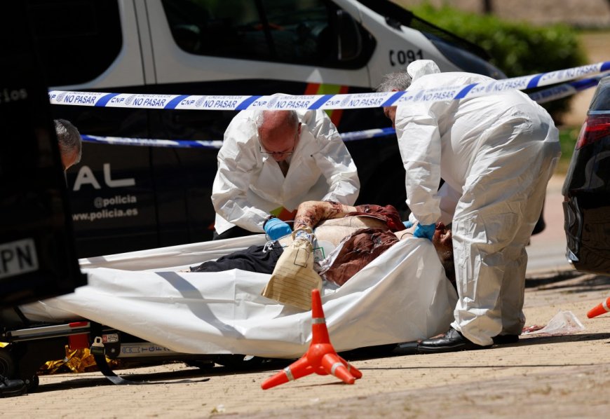 Ex-Ukraine MP with pro-Russian ties assassinated in Madrid