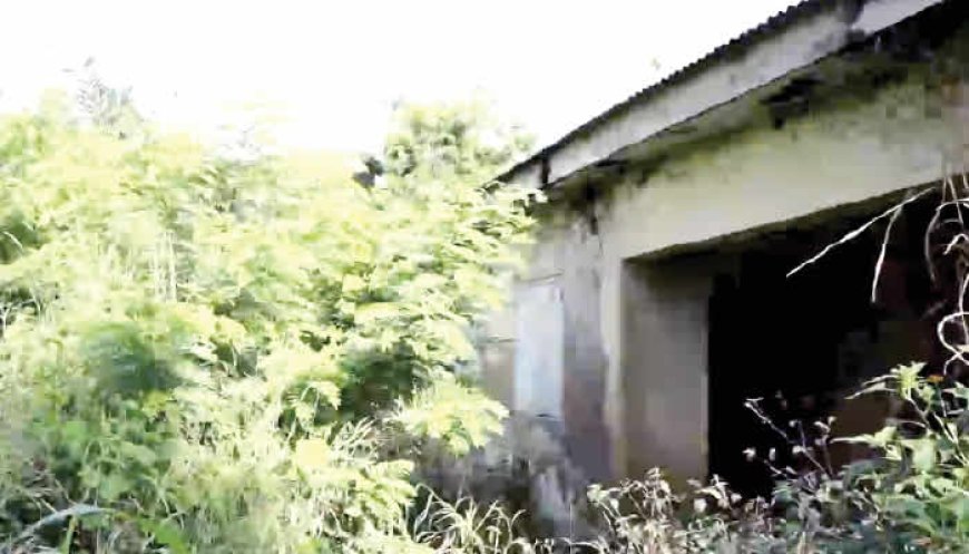 Pregnant Ogun women flee to Benin Republic as healthcare crumbles