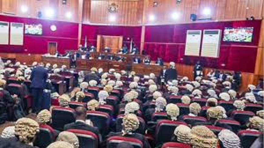 Female lawyers urge end to violence against women