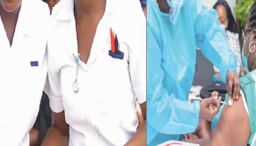 Auxiliary nurses run private hospitals as owners ignore professionals
