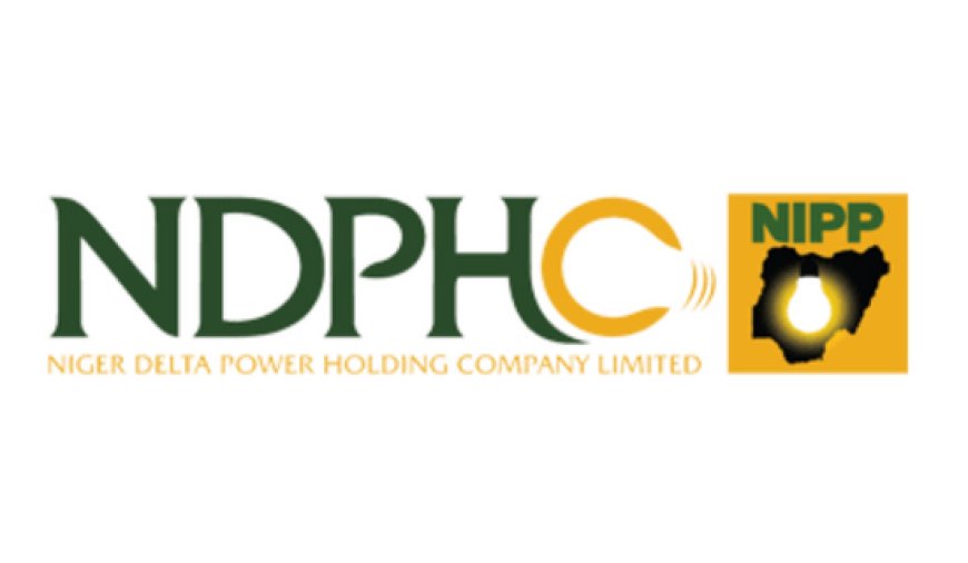 NDPHC decries N600bn electricity debt, stranded 2,000MW