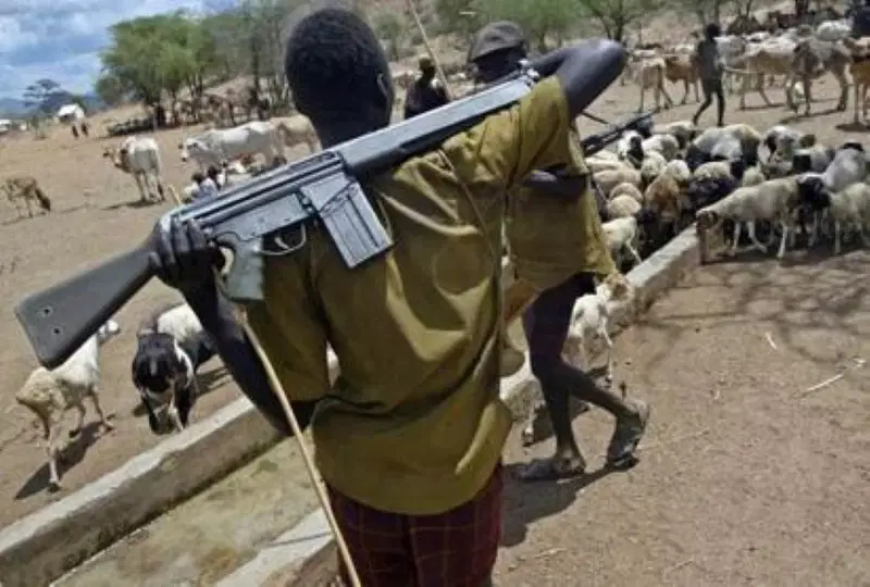 Herders shoot Catholic priest, kidnap 2 others in Benue