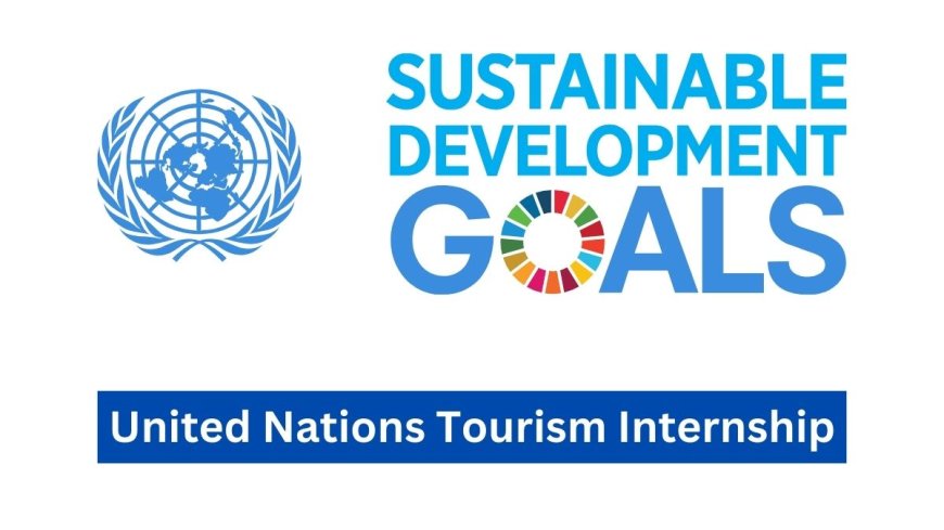United Nations Tourism Internship 2025 | How To Apply