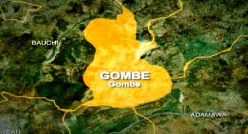 16-year-old sworn in as speaker Gombe children’s parliament