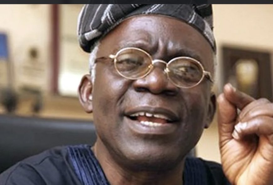 Withdraw criminal label charge against Natasha — Falana tells FG