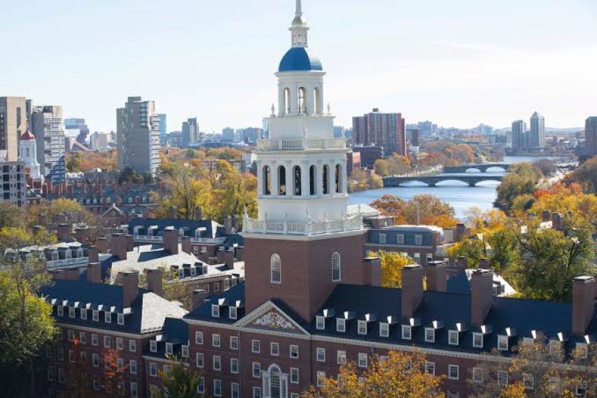 Harvard holds graduation amid legal battle with Trump administration
