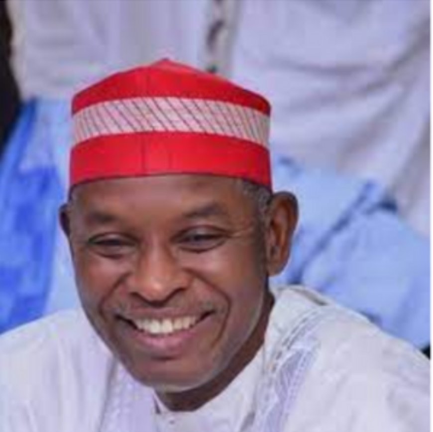 Kano hails appeal court verdict on LG polls