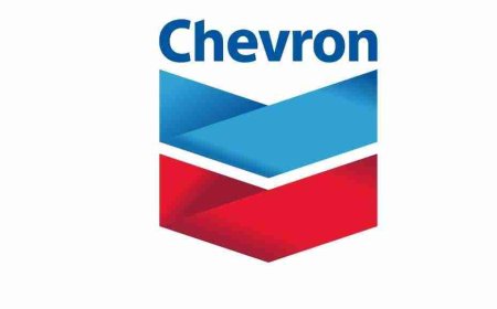2025 Chevron Internship Program For Nigerians (Undergraduate & Graduate) | How To Apply
