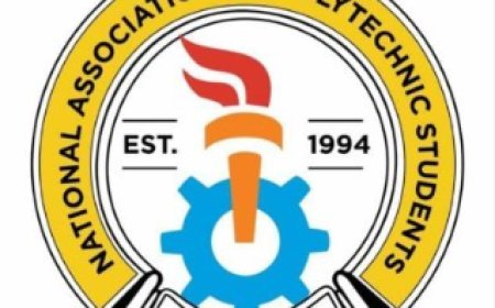 Allow polytechnics to award degrees, NAPS urges Tinubu, NASS