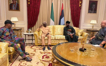 Tinubu hosts Gov Adeleke, Deji Adeleke, Davido in Lagos