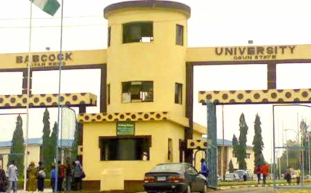 Babcock varsity dismisses student over ‘fetish practices,’ drug peddling